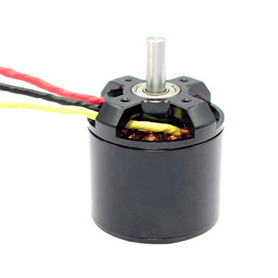 TM4250 DC brushless motor